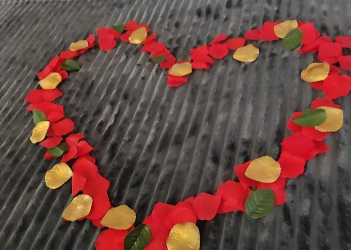 Le Manoir D'agnes Logis Restaurant